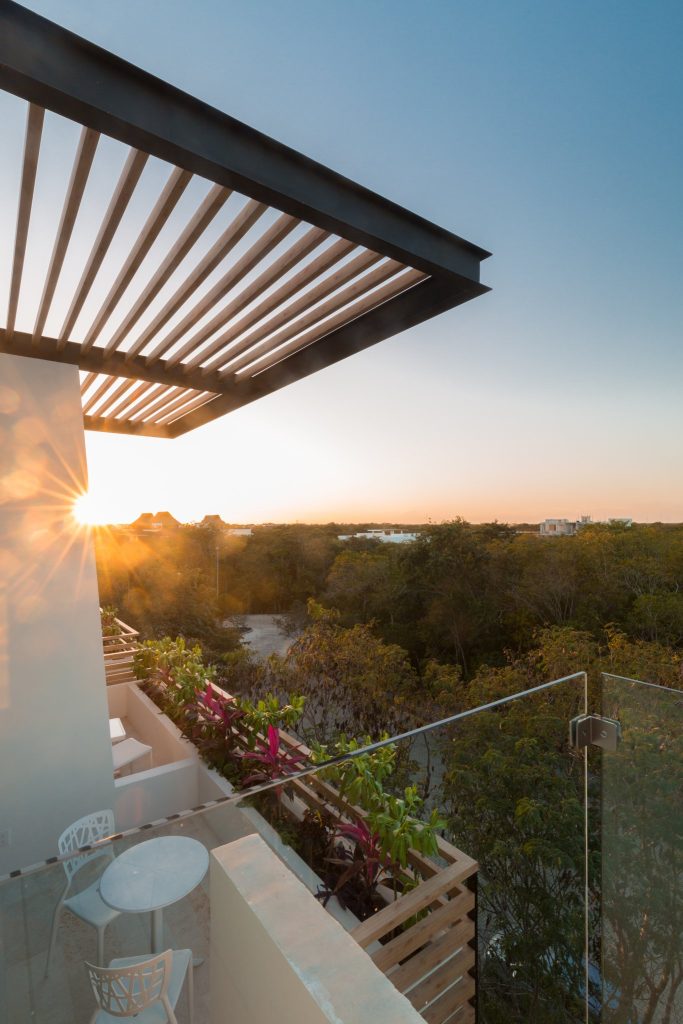 Sunset views over the jungle canopy